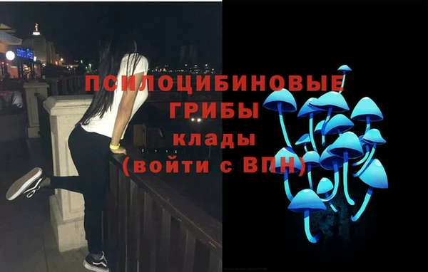 гашик Верхнеуральск